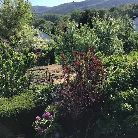 Apartman Ferienwohnung Panoramablick Rimbach